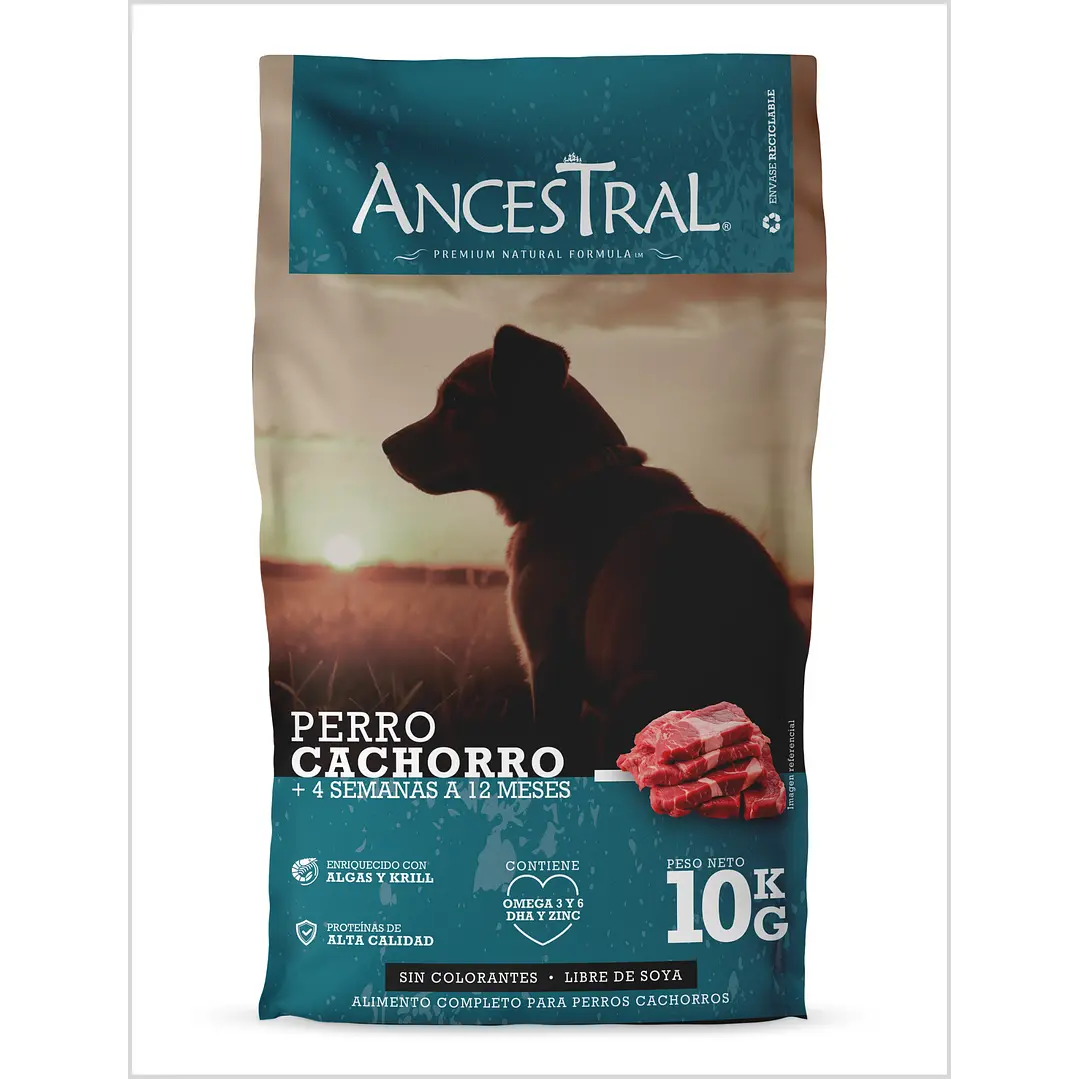 ANCESTRAL CACHORRO 10K