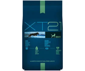 XT21