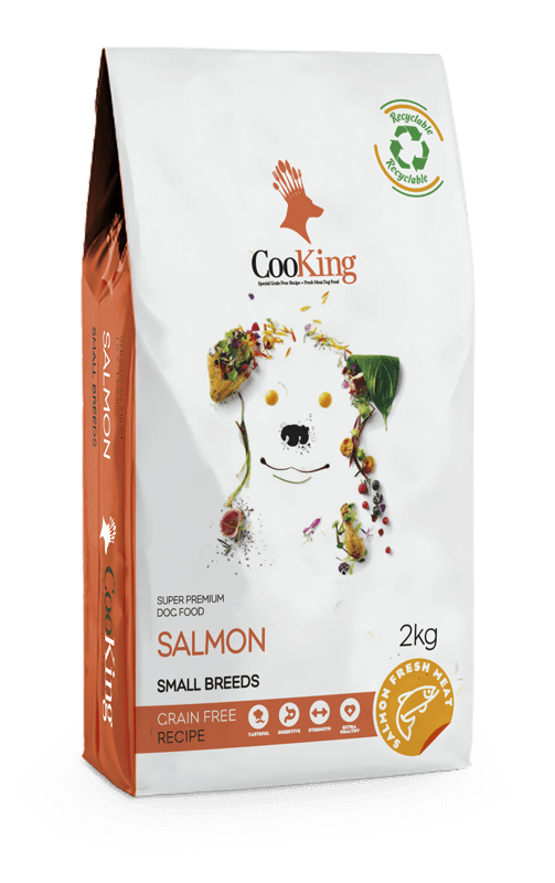 COOKING DOG SMALL BREEDS VARIEDADES